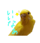 すけかく6（個別スタンプ：11）