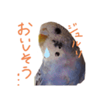 すけかく6（個別スタンプ：12）