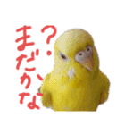 すけかく6（個別スタンプ：14）