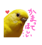すけかく6（個別スタンプ：18）