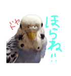 すけかく6（個別スタンプ：25）