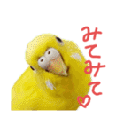 すけかく6（個別スタンプ：29）