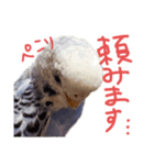 すけかく6（個別スタンプ：31）