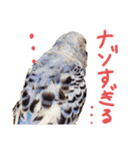 すけかく6（個別スタンプ：36）