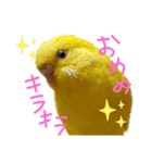 すけかく6（個別スタンプ：37）