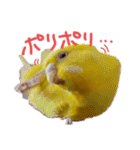 すけかく6（個別スタンプ：38）
