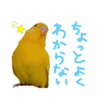 すけかく6（個別スタンプ：39）