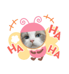 ラグドール猫のポポの日常（個別スタンプ：9）