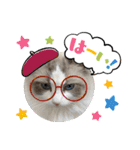 ラグドール猫のポポの日常（個別スタンプ：20）