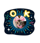 大切な家族猫、風景、言葉（個別スタンプ：2）