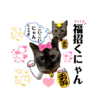 大切な家族猫、風景、言葉（個別スタンプ：13）