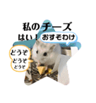 大切な家族猫、風景、言葉（個別スタンプ：18）