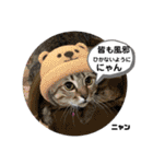 大切な家族猫、風景、言葉（個別スタンプ：19）