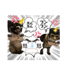 大切な家族猫、風景、言葉（個別スタンプ：21）