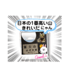 大切な家族猫、風景、言葉（個別スタンプ：31）