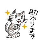 ひし形おめめネコの日常会話スタンプ（個別スタンプ：24）