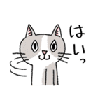 ひし形おめめネコの日常会話スタンプ（個別スタンプ：28）
