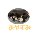 つなまよふぁんくらぶ（個別スタンプ：9）