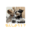 つなまよふぁんくらぶ（個別スタンプ：11）