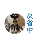 つなまよふぁんくらぶ（個別スタンプ：16）