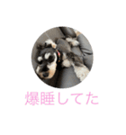 つなまよふぁんくらぶ（個別スタンプ：18）