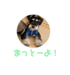 つなまよふぁんくらぶ（個別スタンプ：20）