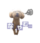 むぎちゃんスタンプ 2ツー（個別スタンプ：3）