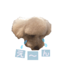 むぎちゃんスタンプ 2ツー（個別スタンプ：6）