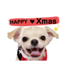 キキとララクリスマスバージョンスタンプ（個別スタンプ：1）