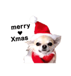 キキとララクリスマスバージョンスタンプ（個別スタンプ：2）