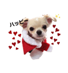 キキとララクリスマスバージョンスタンプ（個別スタンプ：4）