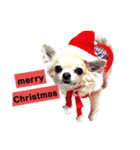 キキとララクリスマスバージョンスタンプ（個別スタンプ：5）