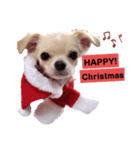 キキとララクリスマスバージョンスタンプ（個別スタンプ：7）