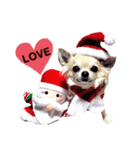キキとララクリスマスバージョンスタンプ（個別スタンプ：9）