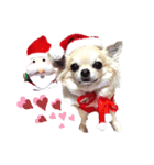 キキとララクリスマスバージョンスタンプ（個別スタンプ：11）