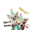 キキとララクリスマスバージョンスタンプ（個別スタンプ：12）
