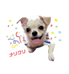 キキとララクリスマスバージョンスタンプ（個別スタンプ：14）