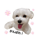 ちっちのきもち③（個別スタンプ：3）