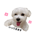 ちっちのきもち③（個別スタンプ：13）