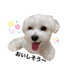 ちっちのきもち③（個別スタンプ：38）