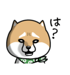 柴犬であーる（個別スタンプ：20）