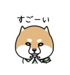 柴犬であーる（個別スタンプ：22）