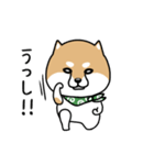 柴犬であーる（個別スタンプ：25）