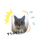 2021あき（個別スタンプ：1）