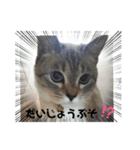2021あき（個別スタンプ：2）