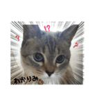 2021あき（個別スタンプ：7）