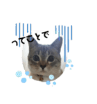 2021あき（個別スタンプ：8）