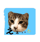2021あき（個別スタンプ：10）