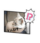 2021あき（個別スタンプ：11）