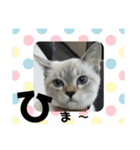 2021あき（個別スタンプ：13）